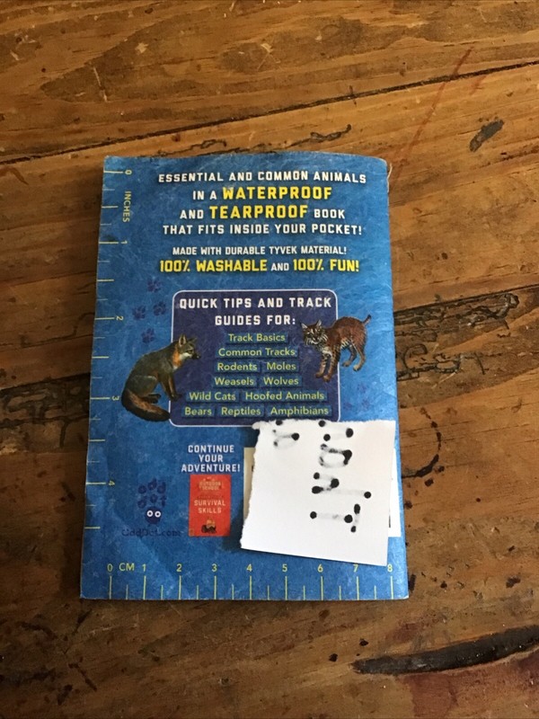 Outdoor School Essentials: Animal Tracks (Outdoor School) by Odd Dot gallery