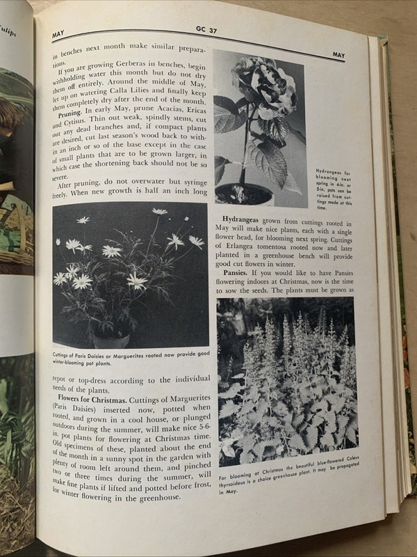 1967 Vintage Illustrated Encyclopedia Of Gardening Edited By:T .H. Everett Vol 1 gallery