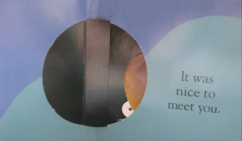 I'M SHY ~ A Bashful Little Pop-Up Book ~ By David A. Carter ~ 1993 gallery