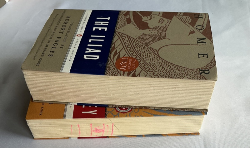 Homer The Iliad and The Odyssey Hardcover Box Set Soon to be C Nolan movie gallery